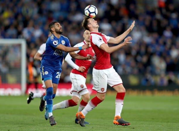 团队需要仔 团队需要仔