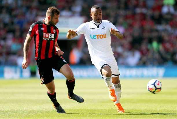 博洛尼亚的 博洛尼亚的