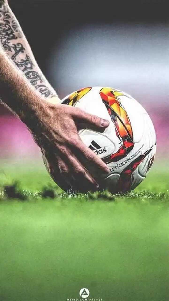 破纪录的 破纪录的